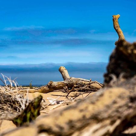 Shipwreck Lodge Mowebaai ภายนอก รูปภาพ
