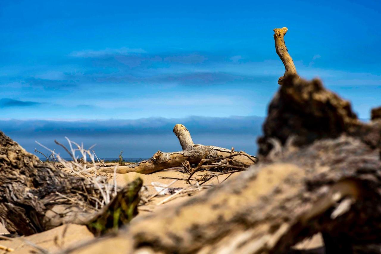 Shipwreck Lodge Mowebaai ภายนอก รูปภาพ