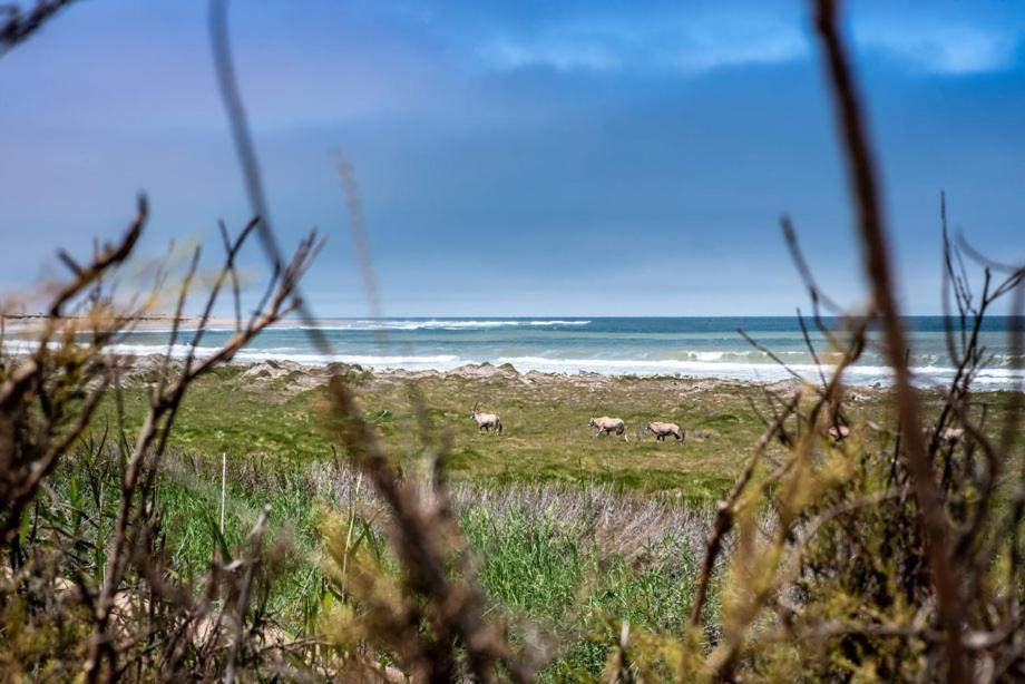 Shipwreck Lodge Mowebaai ภายนอก รูปภาพ